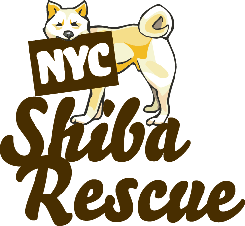 NYCSR Logo